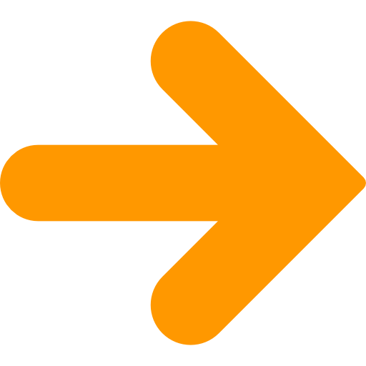 Order SEO Audit